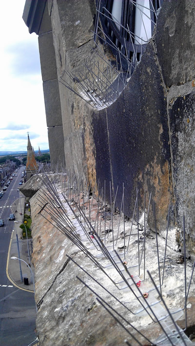 Birdproofing: Pigeon Spikes and Bird Wire: Church clock tower